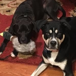 Meet your Posher, Christie